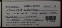 Image Associated With the Occurence